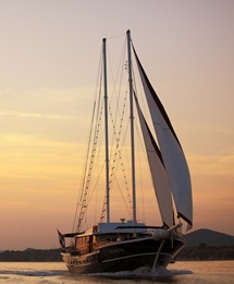 gacina_gallery